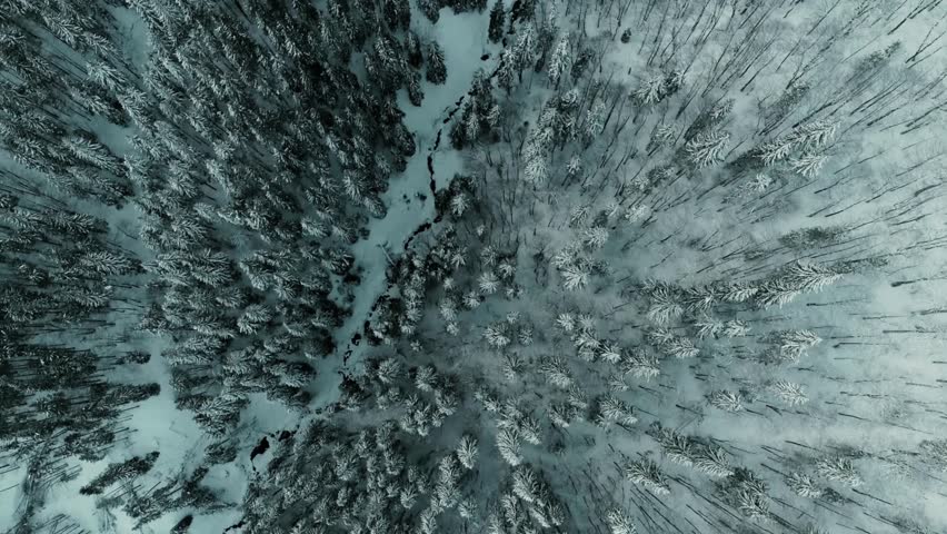  A breathtaking drone flight through a serene winter wonderland. Glide over a snow-covered pine forest nestled in majestic, frosty mountains.