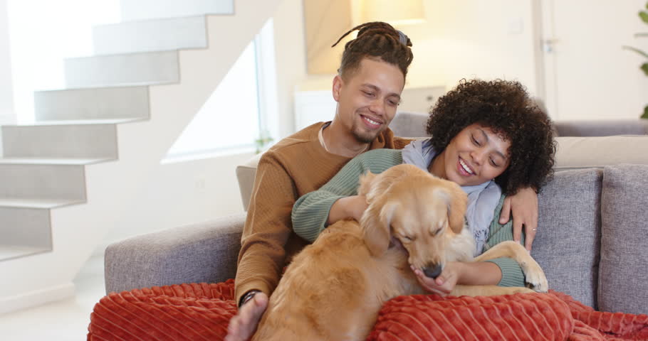Golden retriever wagging tail approaching diverse couple petting dog for love on sofa. Affection, companionship, warmth, cozy, interior, joyful, connection