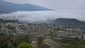 Aerial view of the tiered Samaba Rice Terraces reflecting the sky, surrounded by a sea of clouds and distant mountains, Yunnan, China. - Powered by Shutterstock - Get 15% off with code: PIKWIZARD15