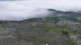 Aerial view of the dramatic Samaba Rice Terraces, with terraces reflecting the sky and mountains shrouded in mist, Yunnan, China. - Powered by Shutterstock - Get 15% off with code: PIKWIZARD15