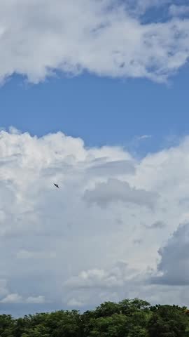 High-quality aerial video of F22 fighter jet landing at Pearl Harbor, Hawaii. Sharp military aircraft footage suitable for aviation, defense, and historical projects.