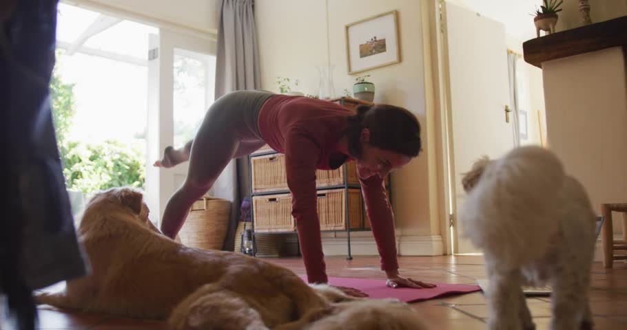 Woman doing fitness on pink mat, small dog approaching, woman reaching, petting, lifting leg. Yoga, home, canines, pets, workout, stretching, balance