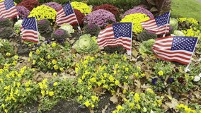 small american flags waving in a strong wind with multi colored autumn mums - Powered by Shutterstock - Get 15% off with code: PIKWIZARD15