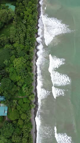 Beach and trees in Costa Rica