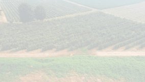 Drone scan starting binary overlay growing and shifting over fields, revealing solar grid to map. Aerial, farmland, panels, crops, translucent, codes, data - Powered by Shutterstock - Get 15% off with code: PIKWIZARD15