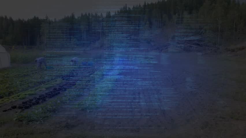 Word cloud animating on play over field, glitch cascading CODE or TEST, showing software development. Glitch, cyan, typography, animation, outdoor, landscape, tent