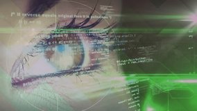 Single hazel eye tracking on HUD overlays appearing scrolling green bands pulsing analyzing data. Gaze, closeup, macro, studio, digital, interface, analytics - Powered by Shutterstock - Get 15% off with code: PIKWIZARD15