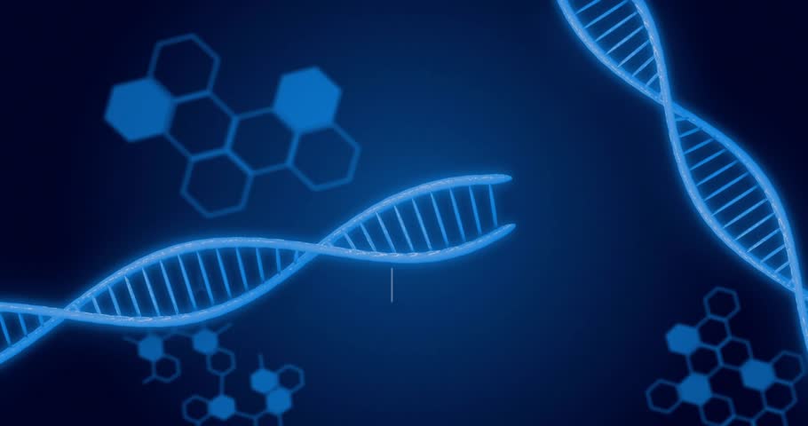 Initial glowing helix appearing left, adding turning strands, badges, fading code, showing bio data. Dna, biotech, visualization, neon, hexagonal, icons, motion