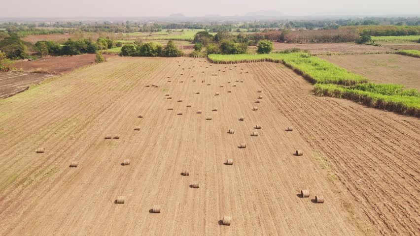 Above drone aerial view sugar cane trash hay bale straw roll field dry farm net zero waste after crop. Go green the way forward smart farmer carbon credit ESG clean power eco action bio fuel energy.
