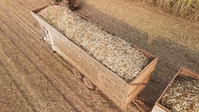 Drone aerial view supply chain carry sugar cane field eco farm net zero rural plant crop mill trailer truck road. The way forward asia Go green carbon credit neutral ESG farmer freight loading service - Powered by Shutterstock - Get 15% off with code: PIKWIZARD15