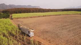 Drone aerial view supply chain carry sugar cane field eco farm net zero rural plant crop mill trailer truck road. The way forward asia Go green carbon credit neutral ESG farmer freight loading service - Powered by Shutterstock - Get 15% off with code: PIKWIZARD15