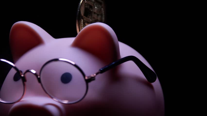A pink piggy bank with glasses on her head. She has a golden bitcoin on her back.