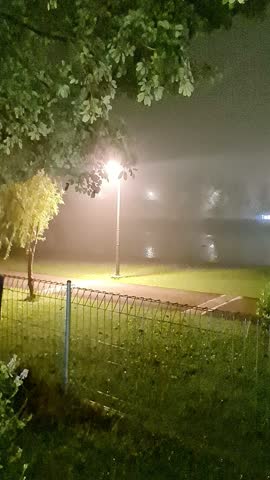 Trees and leaves swaying in the gentle breeze on the edge of a misty lake at night.