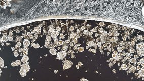 Aerial view of pancake ice discs clustered along a curving frozen river, contrasting dark water and thick snow-covered ice shelf. - Powered by Shutterstock - Get 15% off with code: PIKWIZARD15