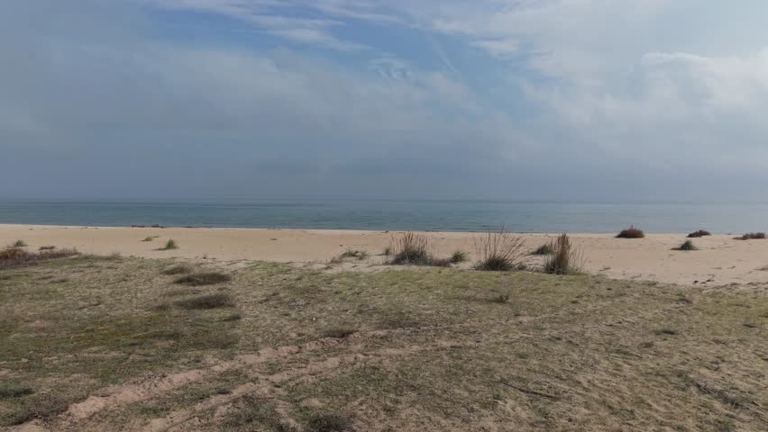 Aerial drone view of coastal sandy beach with dry grassy hummocks and calm sea under blue sky. Serene natural shoreline in autumn or early spring.