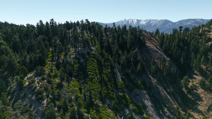 Aerial View of Mountain Ridge and Pine Forest in Big Bear