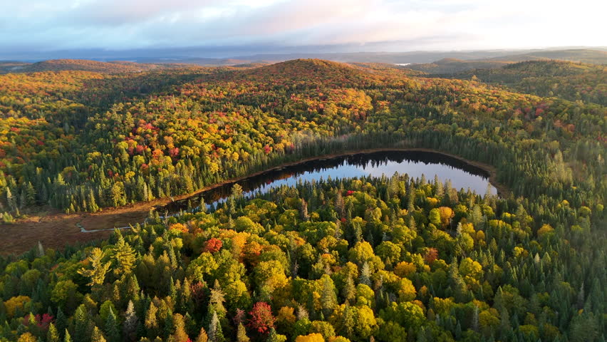 Drone view of a colorful autumn forest with mountains, lake, and river at sunrise in Mauricie, Quebec, Canada. Warm morning light highlights vibrant fall foliage and peaceful landscape.