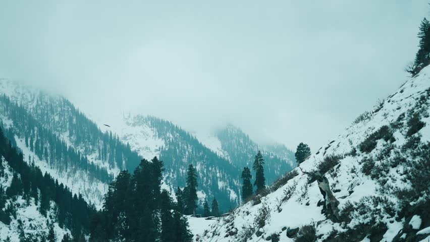 Winter forest and mountains covered in snow as seen from Chandanwari, Jammu and Kashmir, India. Snow covered mountains of Kashmir. Nature landscape. Winter beauty of Himalayas. Travel concept