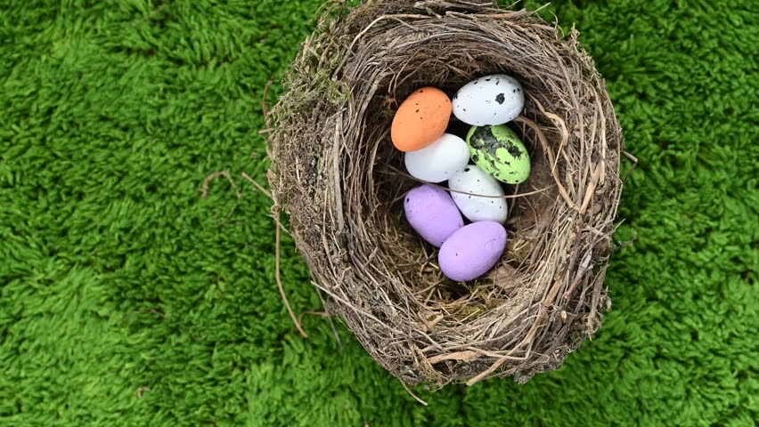 A video of Easter eggs and a bird