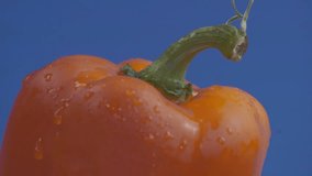 Orange bell pepper in close-up with water droplets against blue background, freshness and healthy food. - Powered by Shutterstock - Get 15% off with code: PIKWIZARD15