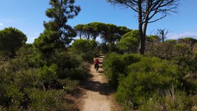Senior couple rides e-bikes at coastal pine forest toward the seaside beach in Parco Maremma. Aerial - Powered by Shutterstock - Get 15% off with code: PIKWIZARD15