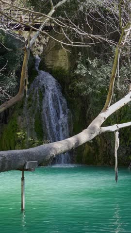 Tree branch in fron of Adonis Baths waterfall in Cyprus, static vertical shot