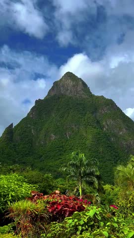 A cinematic view of Petit Piton, in Saint Lucia in the Caribbean above a lush green garden Perfect for travel, tourism, nature and destination content. A UNESCO World Heritage site. 