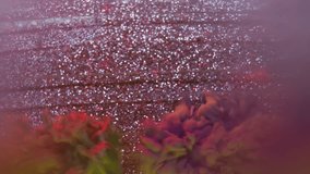Glitter flow. Pigment stream. Shiny spray colorful mix powder paint cloud on shimmering powder abstract background defocused water. - Powered by Shutterstock - Get 15% off with code: PIKWIZARD15