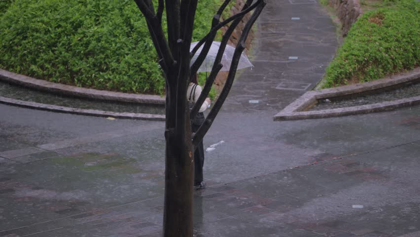 Slow motion of pedestrians walking with umbrellas along a curved walkway surrounded by greenery and wet reflections near Hakata Station in Fukuoka, Japan