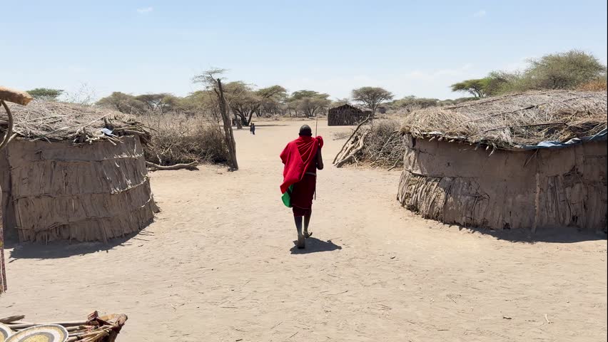 Maasai Walking Between Mud Huts and Acacia Trees