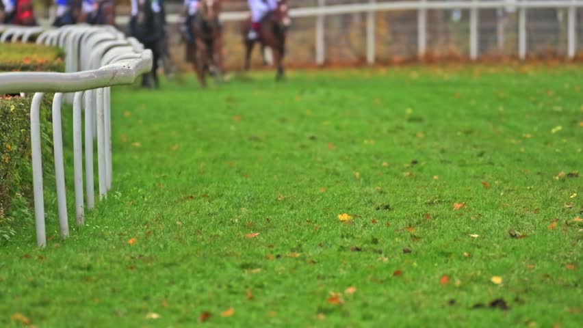 Slow motion shot of racing horses running across a grassy track, with soft light highlighting their moving muscles and grass kicked up by hooves.