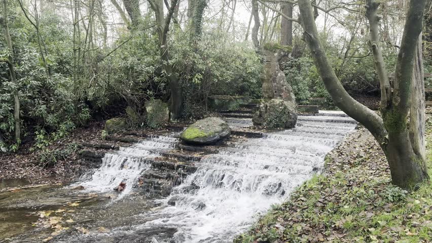 Cascading water flows over tiered stone steps in a tranquil woodland setting, surrounded by bare trees, green foliage, and moss-covered rocks in autumn.​​​​​​​​​​​​​​​​