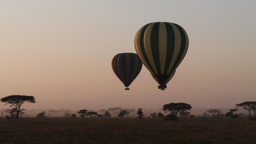 Dawn flight of hot air balloons over Serengeti, Tanzania