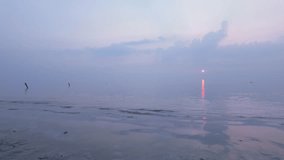 A peaceful sunrise scene at the beach featuring a soft pastel pink sky reflecting beautifully on the calm sea water. Gentle waves touch the shoreline while the rising sun casts.   - Powered by Shutterstock - Get 15% off with code: PIKWIZARD15