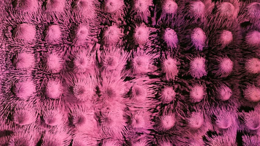  abstraction. iron particles are located under electromagnets; under the influence of current, the electromagnet creates a magnetic field