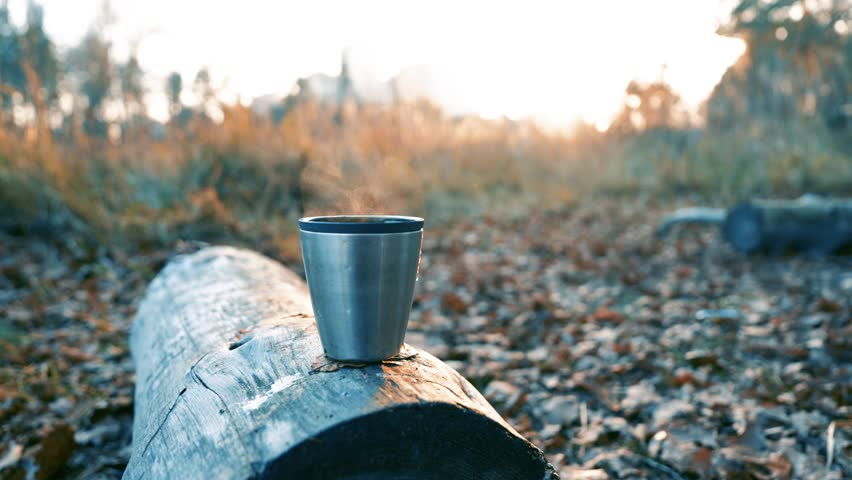 Pouring Hot Beverage from Thermos into Metal Cup on Fallen Log: Autumn Forest Camping Scene with Golden Sunset | Wilderness Drink Preparation among Trees | Fall Adventure Outdoor Refreshment