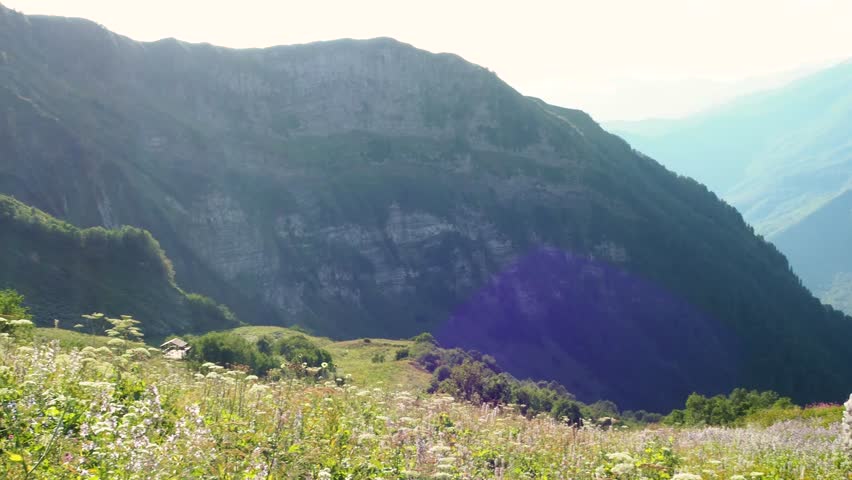 Beautiful mountain landscape, terrain with peaks and valleys, a mountain range in the distance and a meadow with wildflowers in the foreground