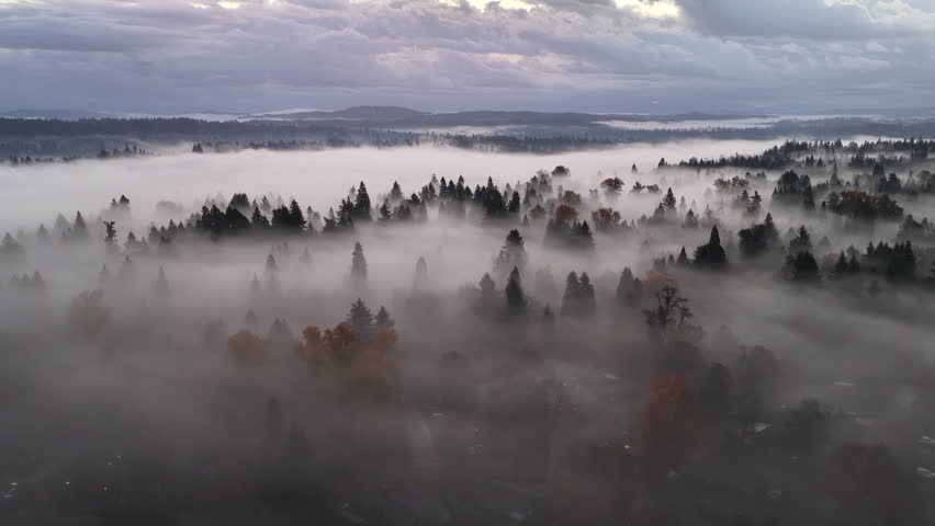 Morning fog drifts through a scenic, forested Pacific Northwest landscape near Portland, Oregon. Fog and mist forms when moist air cools to its dew point, causing water vapor to condense.