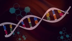 Left offset starting double helix moving, waving while bases rotating, code revealing bio data. Dna, strand, biotechnology, digital, abstract, neon, hexagon - Powered by Shutterstock - Get 15% off with code: PIKWIZARD15
