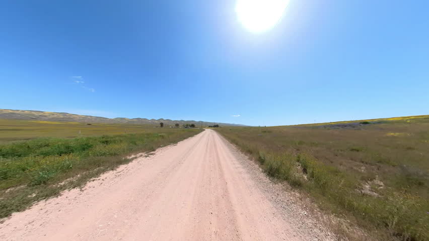 California Super Bloom Wild Flowers Driving Plate Front View 03 Carrizo Plain National Monument USA
