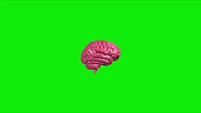 Brain illustration icon, Animation, green screen background.  - Powered by Shutterstock - Get 15% off with code: PIKWIZARD15