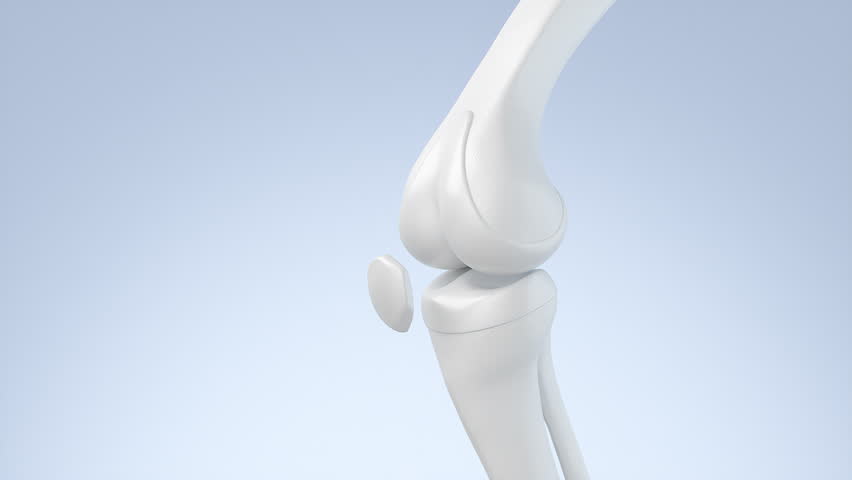 Healthy human bones and knee joints with vitamins or calcium from food and collagen. Medical food concept background.