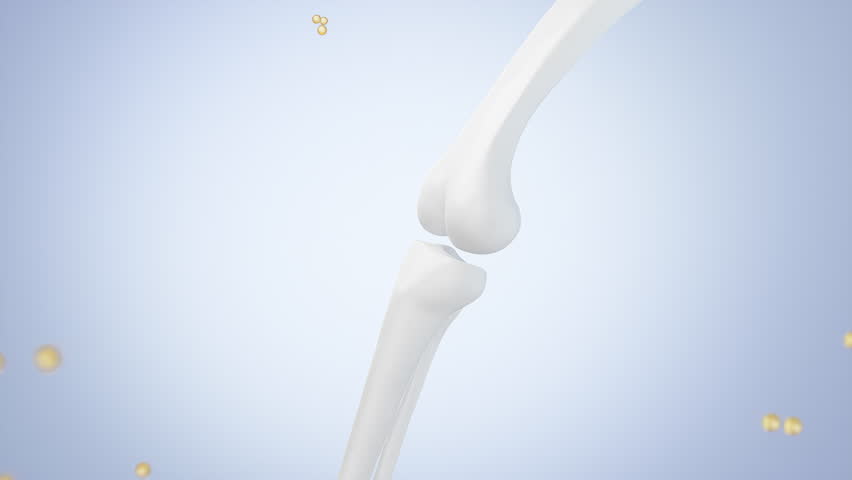Healthy human bones and knee joints with vitamins or calcium from food and collagen. Medical food concept background.