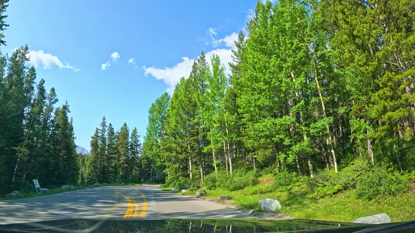 Relaxing drive through scenic Banff National Park in Canada surrounded by tall trees and mountains. Enjoy a peaceful drive along the winding road in Banff National Park, surrounded by stunning forests