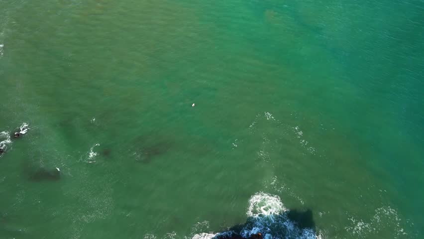 Drone footage at Playa de Moniello in Asturias, Spain. The clip follows a bird flying over the ocean toward the rocky shoreline, capturing smooth motion, waves, and coastal textures from above.