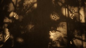 Window and sunset sunlight or moonlight, moving vintage curtain and floral shadow. Minimal interior decoration. Cozy home. Autumn style aesthetics	 - Powered by Shutterstock - Get 15% off with code: PIKWIZARD15