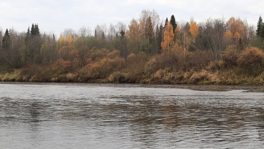 a river in the forest on a cloudy, warm day in mid-autumn