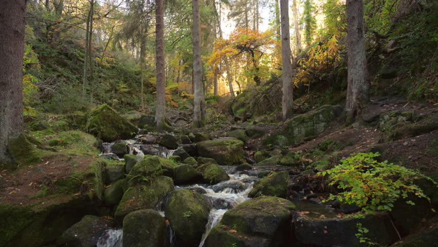 Autumn woodland and cascading water at Wyming Brook in the Derbyshire, Peak District National Park.