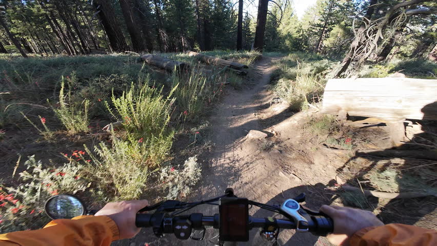 Mountain Bike POV Shot of McGill Trail Downhill Chula Vista to Mt Pinos 4 Los Padres Forest California USA