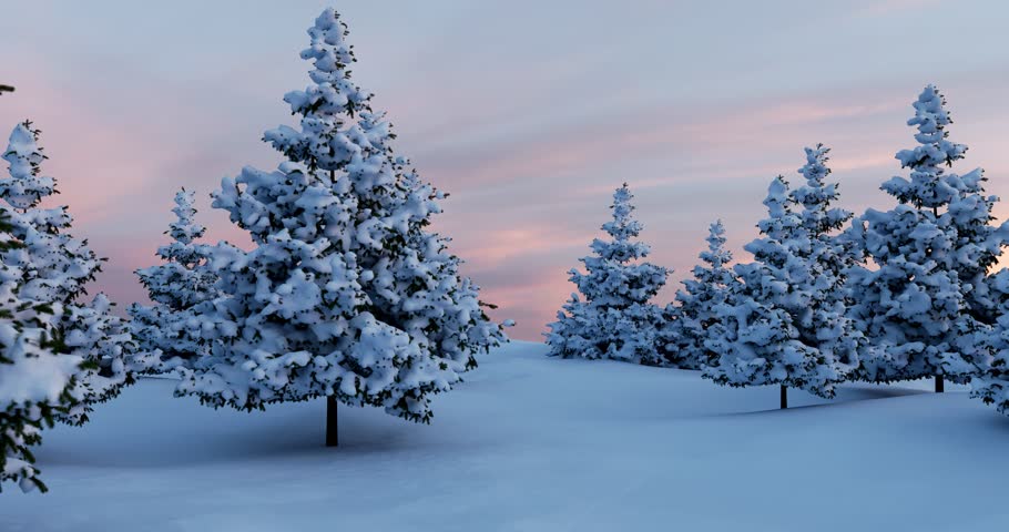 Snowy Pine Forest Walkthrough With Soft Sunset Glow
